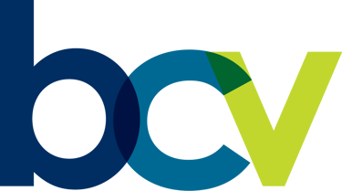 BCV Secure Statement Portal